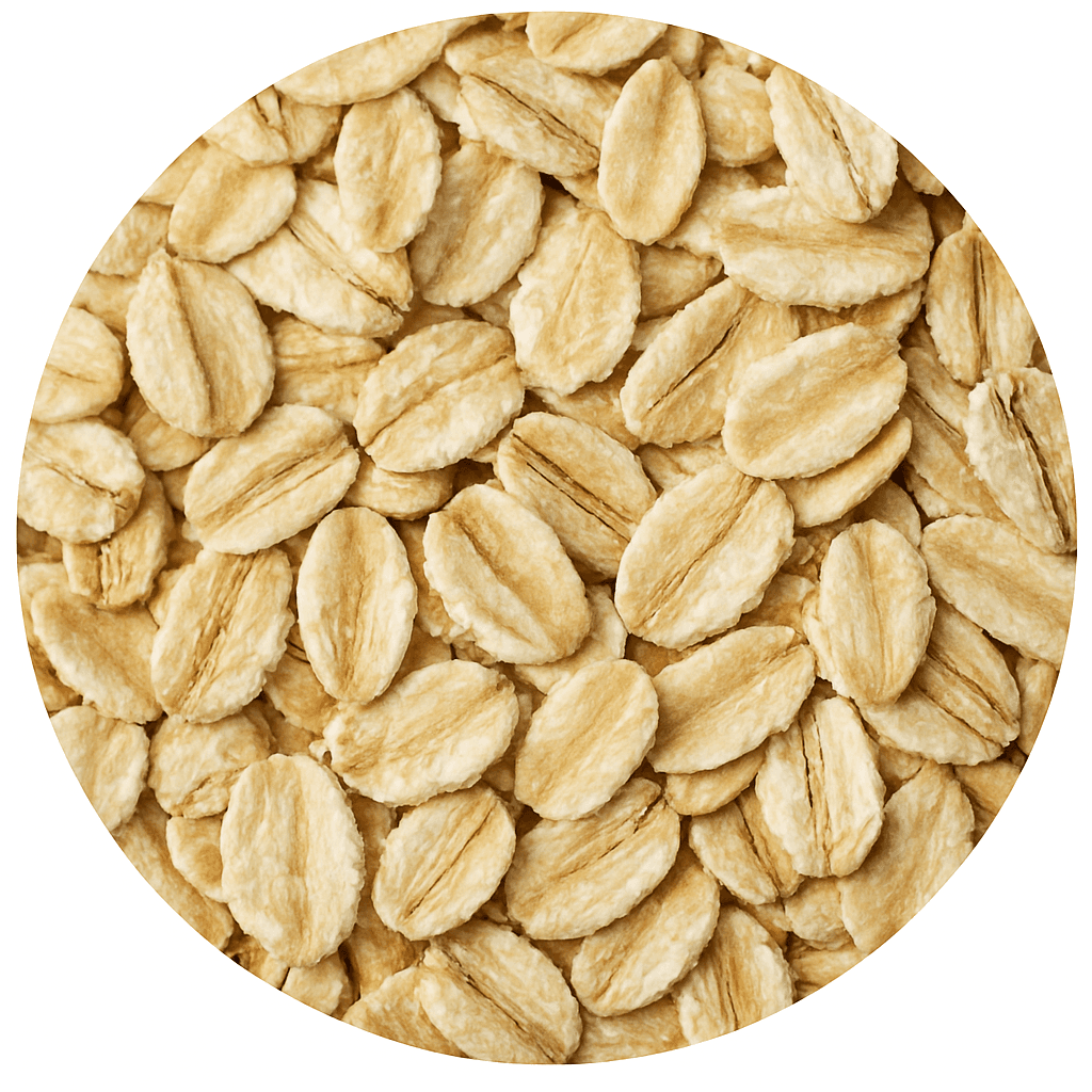 Whole Grain Products